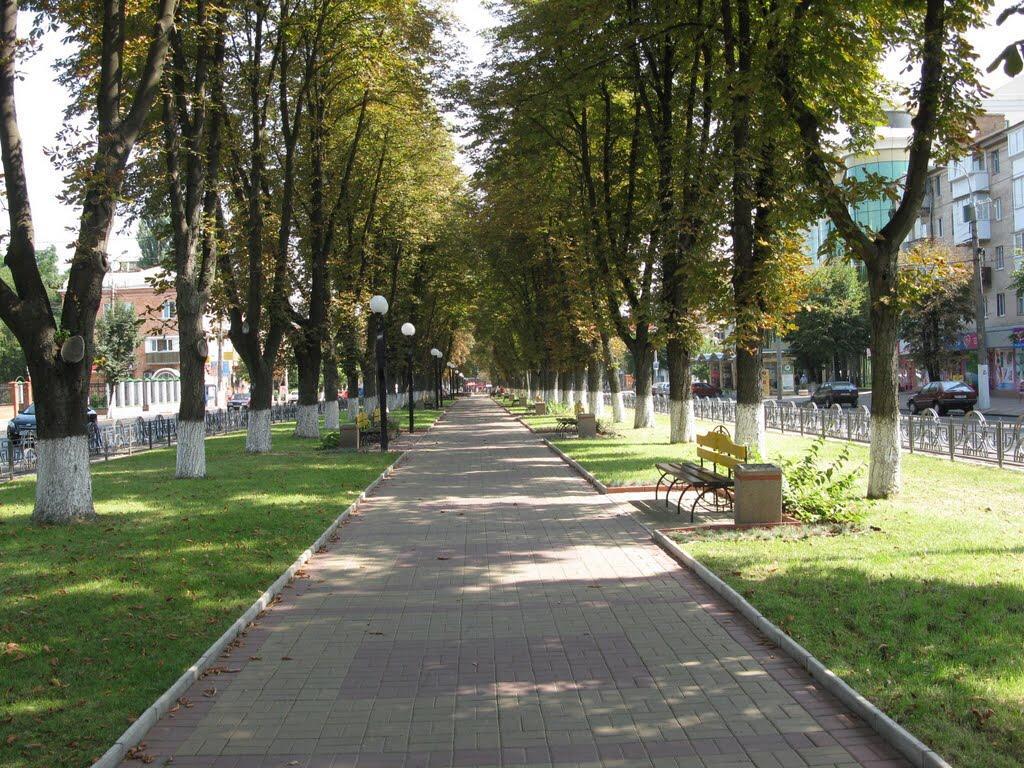 Неймовірно Затишна Студія У Центрі Міста Біля Лікарні Імені Пирогова Winnyzja Exterior foto